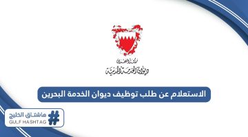 الاستعلام عن طلب توظيف ديوان الخدمة البحرين